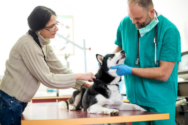Clínica Que Tem Emergência para Animais de Estimação Vila São Sebastiao - Emergência para Pet