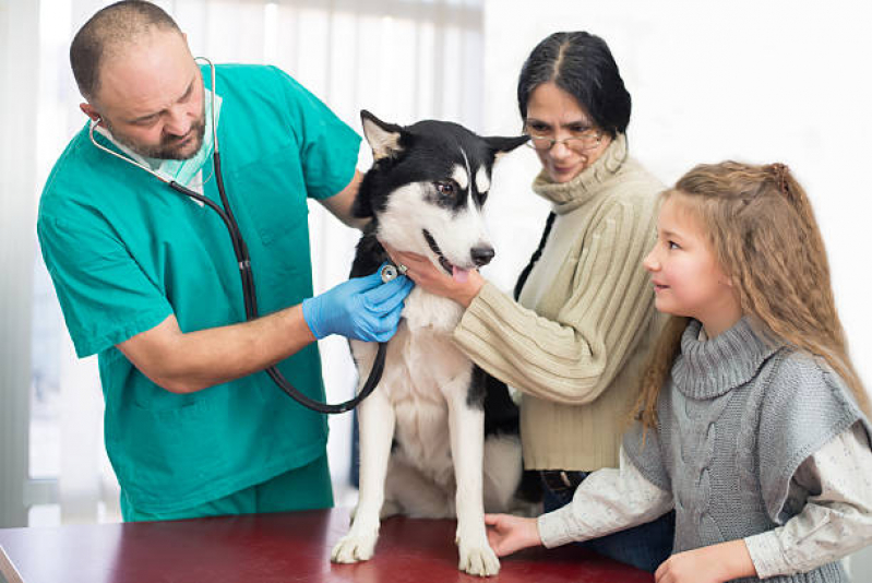 Clínica Que Tem Emergência para Cachorro Vilaa Scarabuci - Emergência para Pet