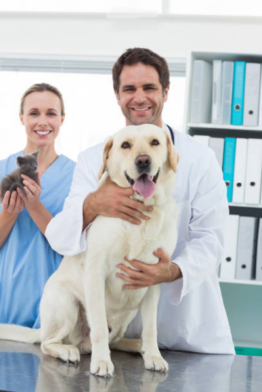 Clínica Veterinária Perto de Mim Contato Jd Alvorada - Clínica Veterinária para Cães