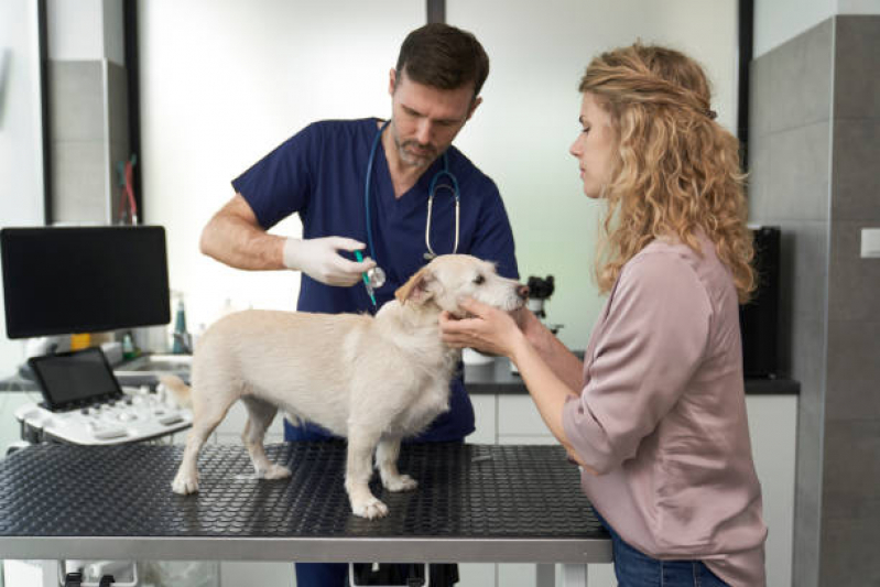 Consulta Veterinária para Cachorro Preço Jd America - Consulta Veterinária para Cachorro