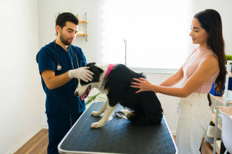 Emergência para Cães Clínica Cássia - Emergência Veterinária para Animais