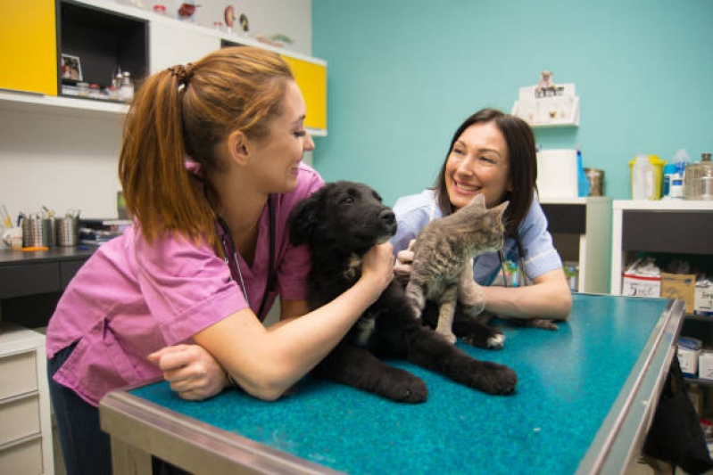 Emergência Veterinária para Animais Clínica Jardim Redentor - Emergência para Gatos