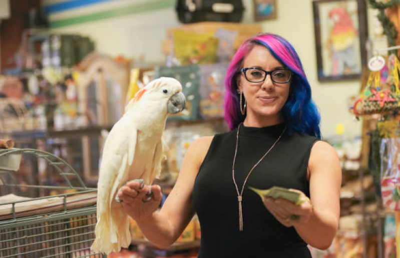 Pet Shop para Animais de Estimação Contato de Jardim das Palmeiras - Pet Shop para Animais de Estimação