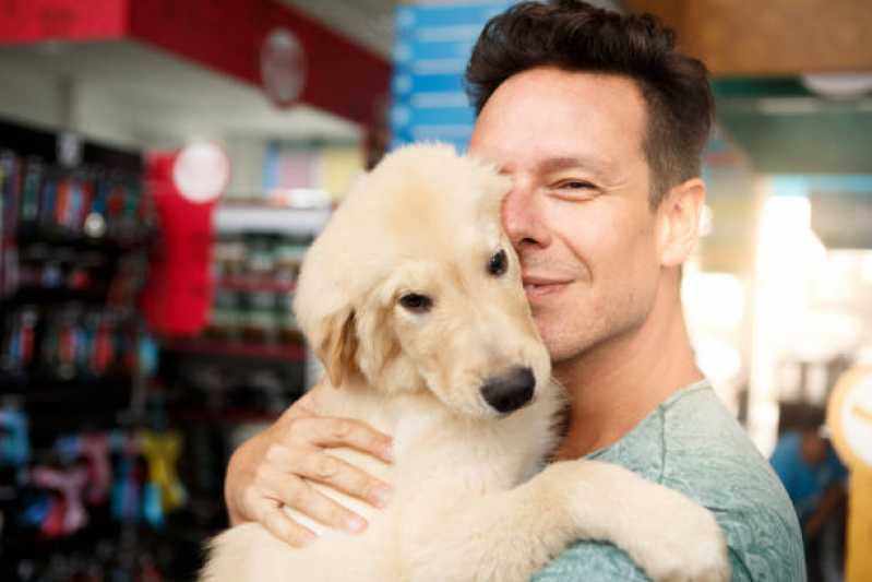 Pet Shop para Cachorro Contato de Cubatao - Pet Shop Perto Corrente