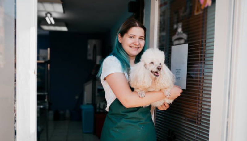 Pet Shop para Cachorro Vilaa Formosa - Pet Shop para Cachorros