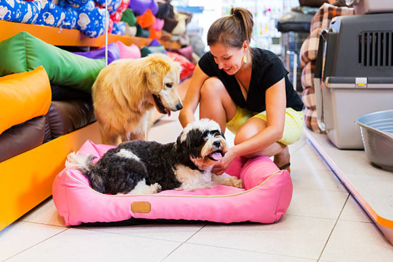 Pet Shop para Cães Contato de Vilaa Santa Terezinha - Pet Shop para Cachorros