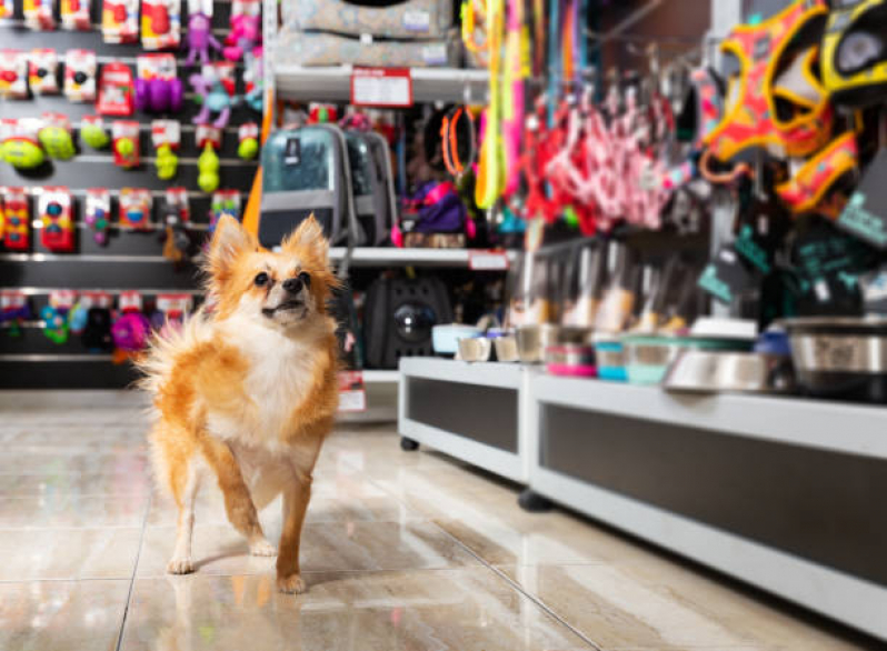 Pet Shop para Cães Vilaa Santa Maria do Carmo - Pet Shop para Cães
