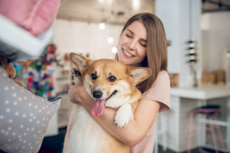 Pet Shop Perto Jardim Esmeralda - Pet Shop para Cães