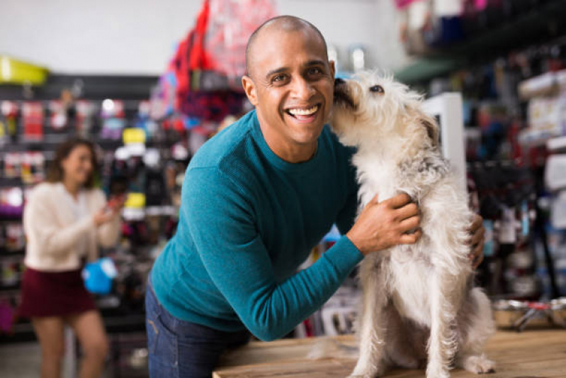 Pet Shop Próximo Contato de Jardim Planalto - Pet Shop para Cachorros