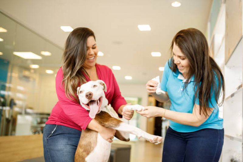 Pet Shop Próximo Jardim Aeroporto II - Pet Shop para Cachorros