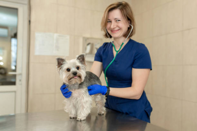 Telefone de Clínica Veterinária para Cães Jardim California - Clínica Veterinária para Cães