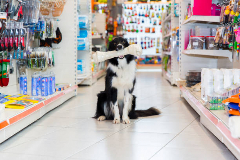 Telefone de Pet Shop para Cães e Gatos Delta - Pet Shop para Animais de Estimação