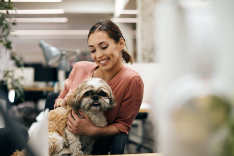 Telefone de Pet Shop para Cães Vilaa Scarabucci - Pet Shop para Animais de Estimação