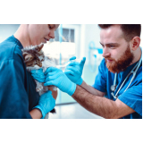 aplicação de vacina de raiva para gatos Jardim Paineiras