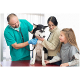 clínica que tem emergência para cachorro Prolongamento Vilaa Santa Cruz
