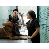 clínica que tem emergência para cachorros Parque São Jorge