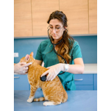 clínica veterinária para gatos Jardim Tropical II