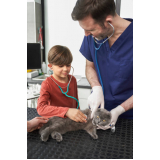 consulta veterinária para gatos preço Jardim Derminio