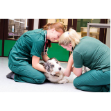 emergência para animais domésticos clínica Jardim Paulistano II