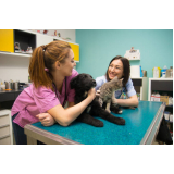 emergência veterinária para animais clínica Residencial Chico Neca