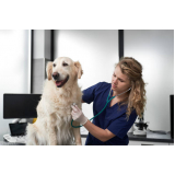 onde faz consulta veterinária para cachorro Residencial Julio D Elia