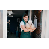 pet shop para cachorro City Petropolis