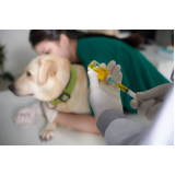telefone de clínica veterinária para animais domésticos Residencial Moreira Junior