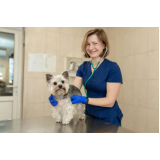 telefone de clínica veterinária para cães Jardim Derminio