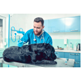 vacina contra raiva para cachorro agendar Jd Brasilândia