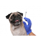 vacina de raiva para cachorro Residencial Julio D Elia
