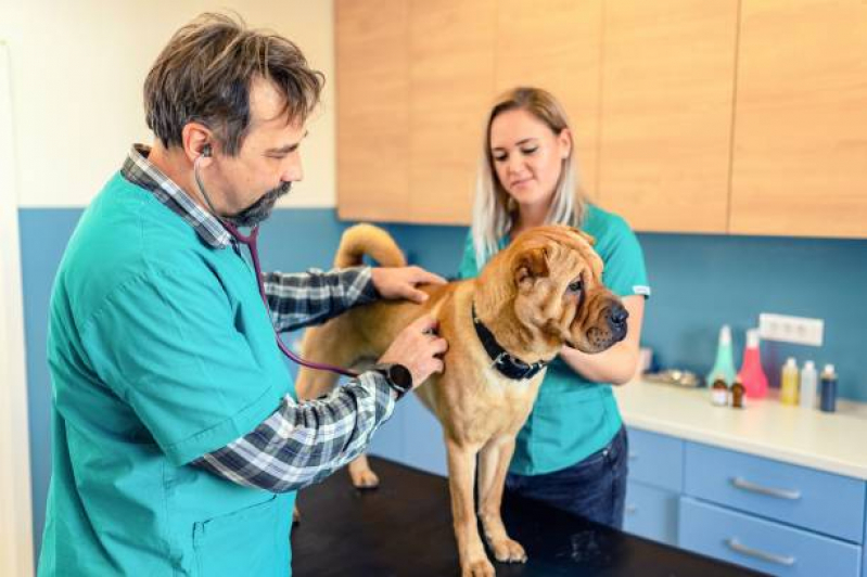 Tratamento para Cachorros Santa Rita - Tratamento para Animais