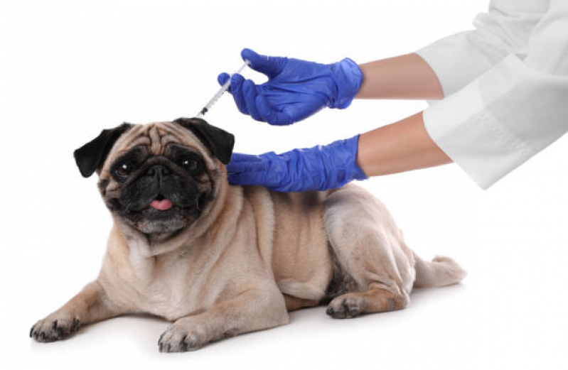 Vacina de Raiva para Cachorro Agendar Claraval - Vacina contra Raiva para Cachorro Franca