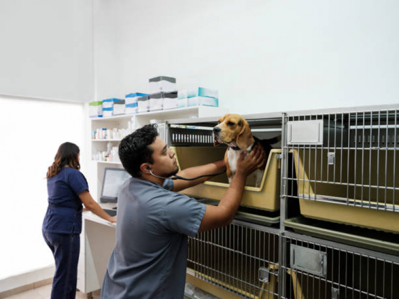 Valor de Medicamento Cães Santa Rita - Medicamento para Animais