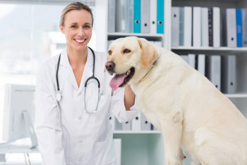 Valor de Tratamento de Cachorros Jardim Aeroporto II - Tratamento de Animais Franca